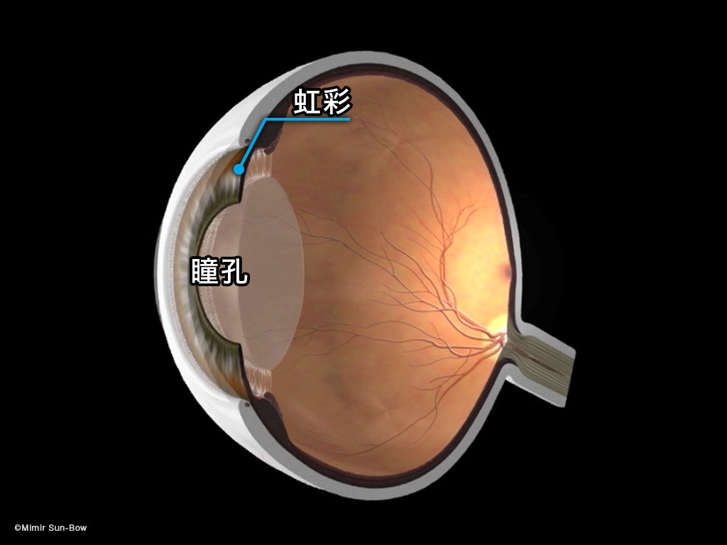 細隙灯顕微鏡検査  福田眼科医院